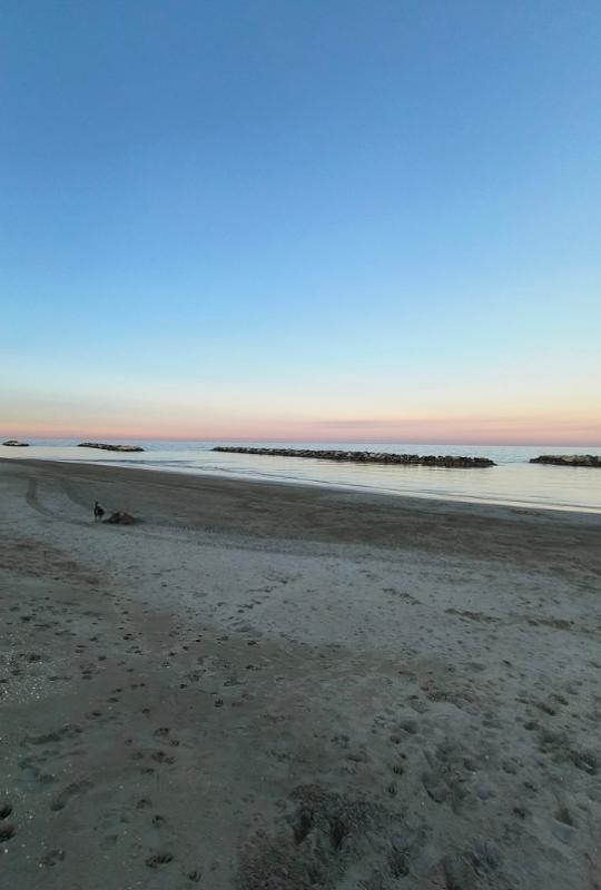 Spiaggia al tramonto con mare calmo e cielo sfumato, persona e cane in lontananza.